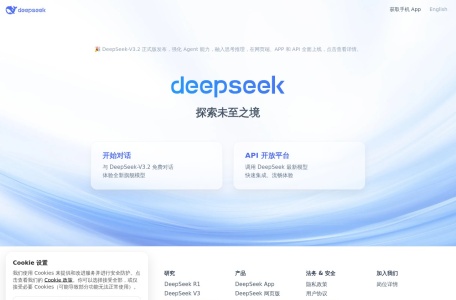 DeepSeek 网站预览