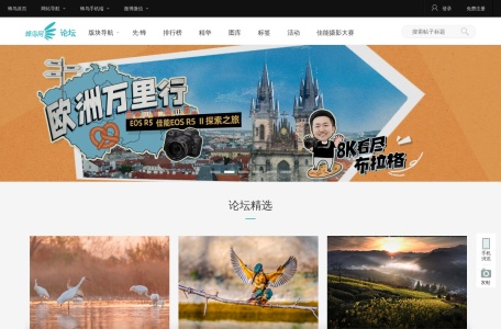 蜂鸟摄影论坛 网站预览