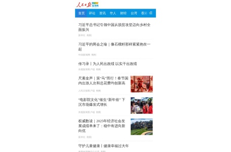 海外网 网站预览