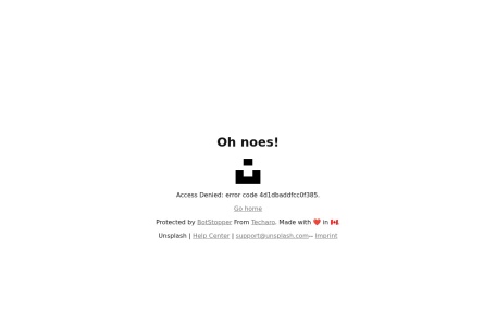 Unsplash（中文区） 网站预览