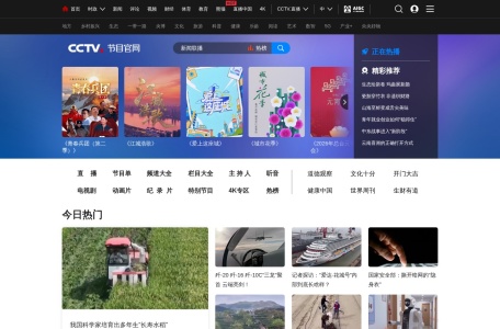 CCTV7军事 网站预览