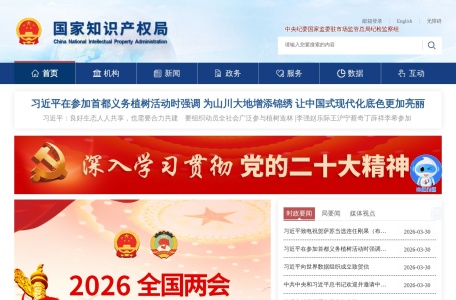 知识产权查询 网站预览