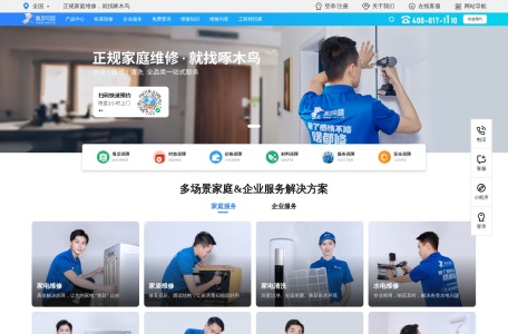 啄木鸟 网站预览