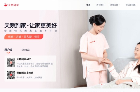 天鹅到家 网站预览