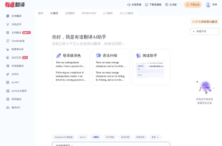 有道翻译 网站预览