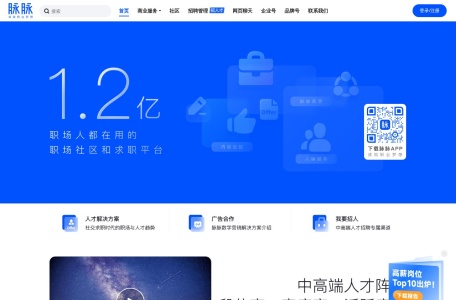 脉脉网 网站预览