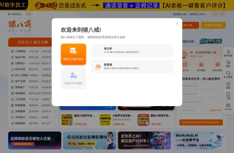 猪八戒网 网站预览