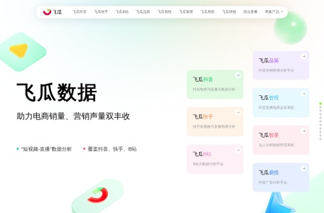 飞瓜数据 网站预览