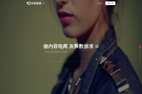 灰豚数据 网站预览