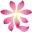 花鼓戏保护传承中心 图标